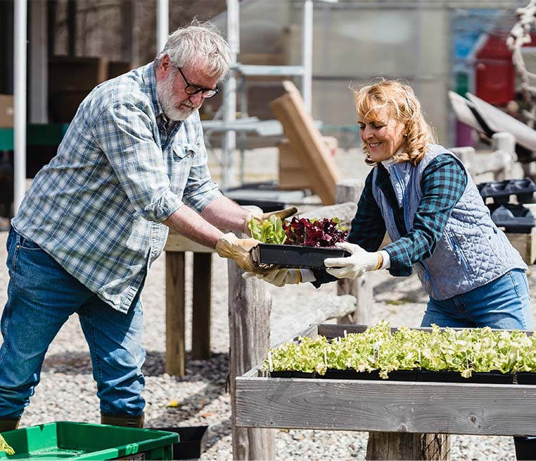 play sports while taking care of your plants