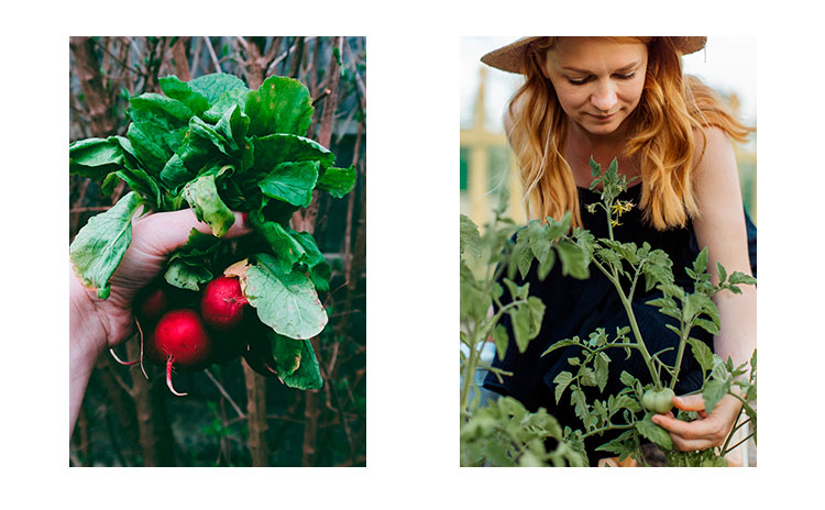 healthy eating is possible with an urban garden