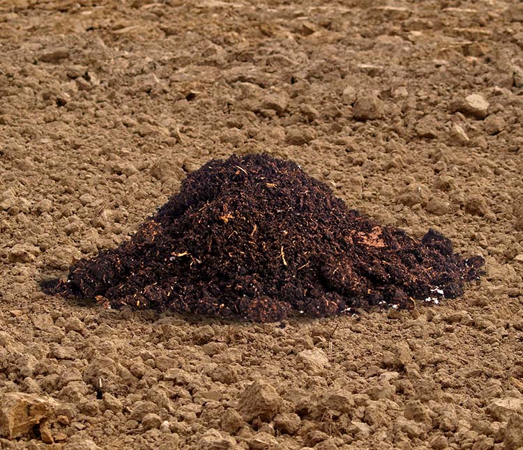 Pile of Bokashi on the ground