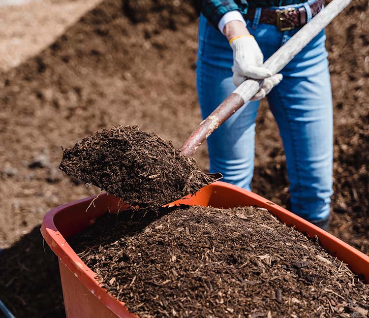 Big box with soil